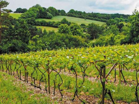 i-korinthia-krataei-ta-skiptra-stis-anadiarthroseis-abelonon-365999