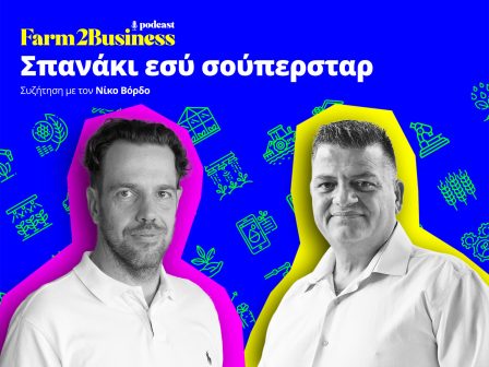 spanaki-esy-souperstar-366561