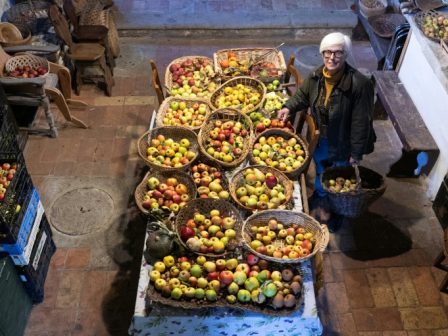 italida-ntetektiv-frouton-agonizetai-na-sosei-xechasmenes-poikilies-367058