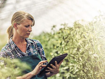 diktyo-gynaikeias-epicheirimatikotitas-ekpaideftika-ergastiria-anaptyxis-dexiotiton-stin-kastoria-366662