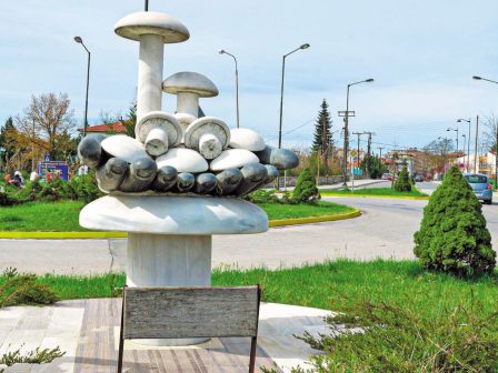 grevena-parousiasi-meletis-taftotitas-tis-manitaroprotevousas-os-pagkosmiou-proorismou-manitarion-kai-troufas-367704