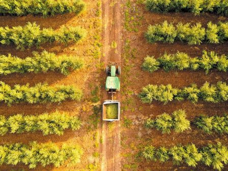 florina-peiramatika-geothermika-thermokipia-apo-to-tmima-geoponias-tou-pdm-367637