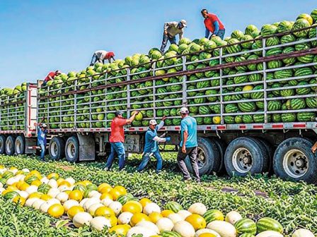 kratiki-paremvasi-apo-tis-ipa-gia-ti-diasosi-tou-tomea-nopon-frouton-368190