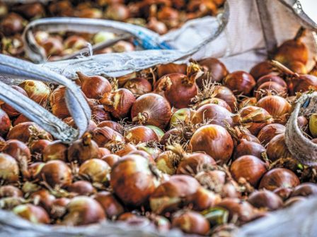 ypaithros-chora-efimerida-gia-tin-agrotiki-anaptyxi-kai-oikonomia-366199