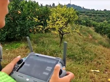 kina-sygkomidi-lemonion-me-drones-stous-oreinous-oporones-tis-tsongktsingk-vinteo-366508