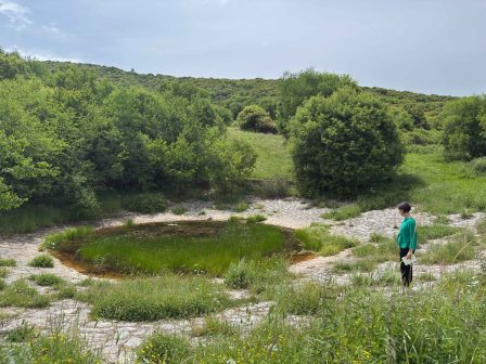 polytimes-oi-loutses-pou-kratoun-nero-gia-ti-metakinoumeni-ktinotrofia-367406