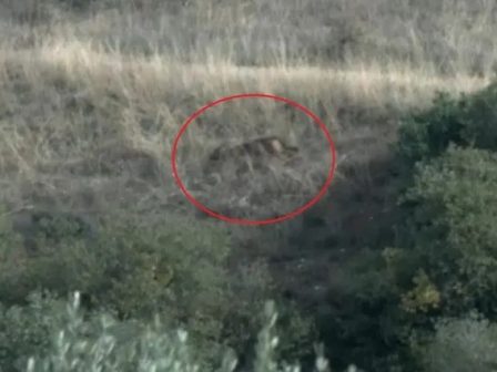 ypaithros-chora-efimerida-gia-tin-agrotiki-anaptyxi-kai-oikonomia-367658