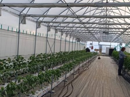 florina-peiramatika-geothermika-thermokipia-apo-to-tmima-geoponias-tou-pdm-367806