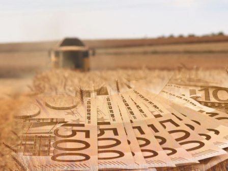 yposcheseis-tsiara-gia-pliromi-vasikis-kai-metrou-23-mechri-telos-noemvriou-366378