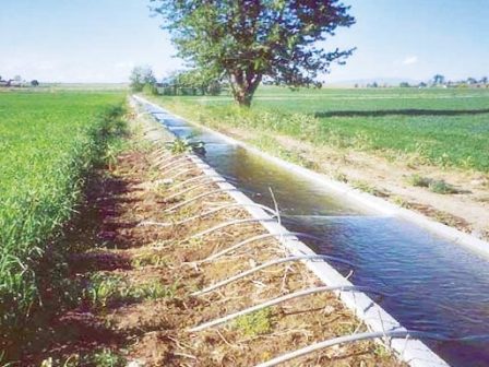 apantisi-apo-opekepe-gia-tin-pliromi-tis-nitrorypansis-zitoun-oi-diacheiristikes-arches-366062