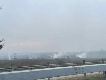 dasos-dadias-topothetisi-pobon-se-mavrogypes-366257