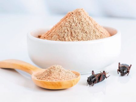 megali-panelladiki-psifoforia-ypaithros-gr-stigma-gia-ton-klado-to-skandalo-opekepe-elleipsi-ebistosynis-sta-politika-prosopa-366632