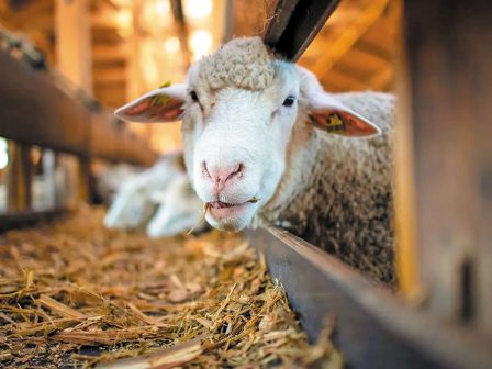 ypaithros-chora-efimerida-gia-tin-agrotiki-anaptyxi-kai-oikonomia-367041