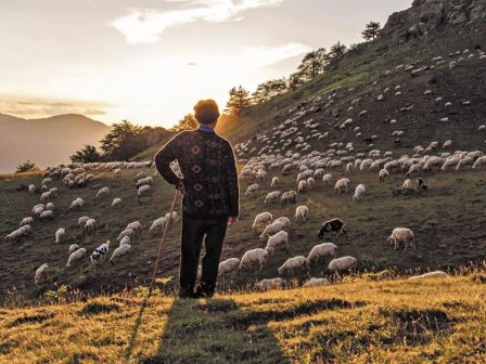 afstiropoiountai-ta-kritiria-epileximotitas-ktinotrofon-gia-tin-katanomi-voskotopon-tou-2025-368106