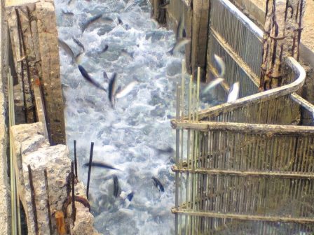 anagkaiotita-ylopoiisis-dimosion-ergon-stis-limnothalasses-367078