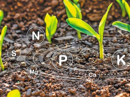 nutri-check-net-oi-veltistes-praktikes-stin-evropi-gia-ti-threpsi-ton-fyton-366981