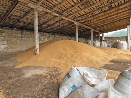 katholiki-apogoitefsi-gia-tis-times-vamvakos-stin-elliniki-epikrateia-367050