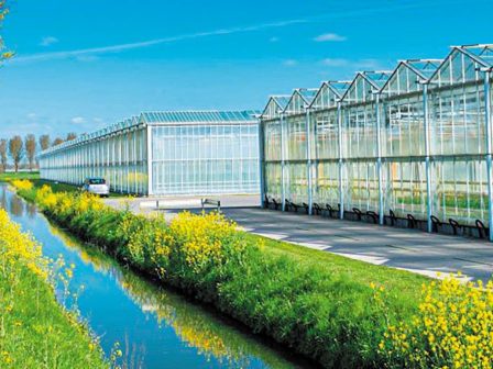 hortiscience-innovation-center-to-proto-venture-studio-pagkosmios-gia-ti-thermokipiaki-paragogi-xekina-stin-ollandia-366946