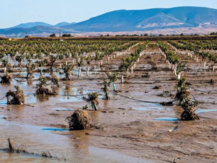 epitropis-parakolouthisis-tis-kap-i-ee-anamenei-cheiropiasta-apotelesmata-i-aporrofisi-se-arketous-tomeis-tou-paa-kineitai-gyro-sto-50-366590