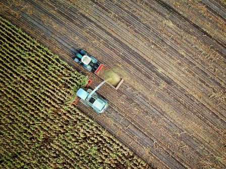 digiagrifood-seminario-gia-tin-agrotiki-kainotomia-apo-to-dpth-367809