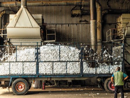 katholiki-apogoitefsi-gia-tis-times-vamvakos-stin-elliniki-epikrateia-367111