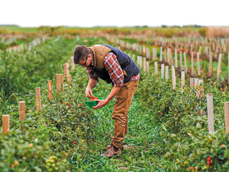 ypaithros-chora-efimerida-gia-tin-agrotiki-anaptyxi-kai-oikonomia-367562