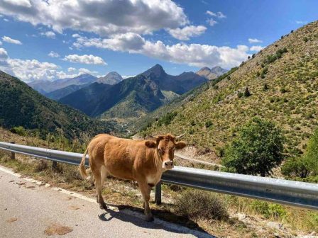 eos-30-noemvriou-plironei-o-opekepe-gia-aftochthones-fyles-367145