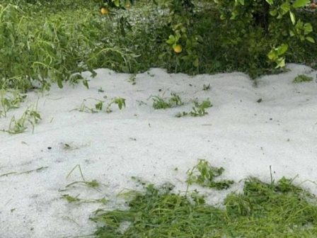 oi-voliotes-fonaxan-ochi-sti-schediazomeni-ependysi-tou-lng-ston-pagasitiko-368108