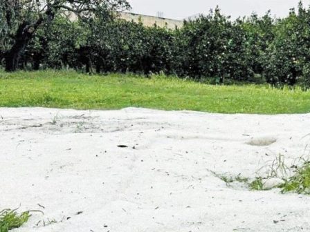 sovares-oi-zimies-exaitias-tis-chalazoptosis-se-korinthia-kai-argolida-367533