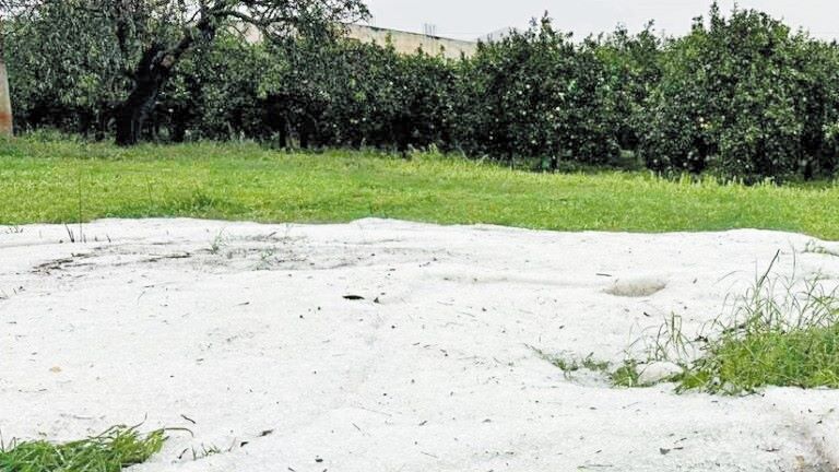 Σοβαρές οι ζημιές εξαιτίας της χαλαζόπτωσης σε Κορινθία και Αργολίδα Σοβαρές οι ζημιές εξαιτίας της χαλαζόπτωσης σε Κορινθία και Αργολίδα