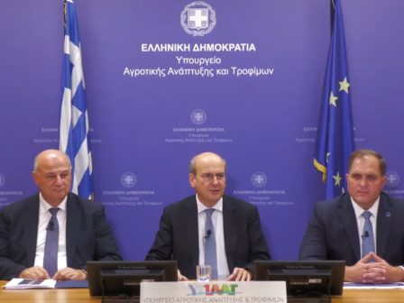 sta-363-ekat-evro-i-prokatavoli-tis-vasikis-pou-tha-pistothei-telika-avrio-i-aktinografia-ton-pliromon-368027