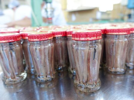 o-efet-anakalei-fileto-psariou-se-vazo-me-eboriki-onomasia-capri-368834