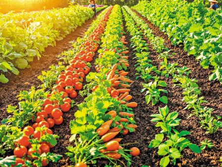 analytikos-odigos-tis-tilekpaidefsis-gia-syndedemenes-poious-afora-prosvasi-parakolouthisi-mathimaton-exetasi-kai-katavoli-enischysis-368432