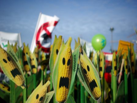 ektaktoi-elegchoi-opekepe-fyllo-kai-ftero-okto-ktinotrofikes-monades-369681