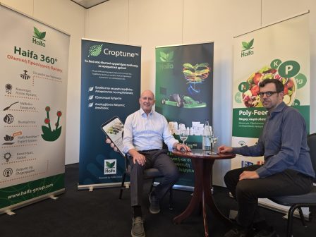 neo-schima-geografikon-endeixeon-tis-ee-efkairies-gia-ellines-paragogous-viomichanikon-kai-eborikon-proionton-368350