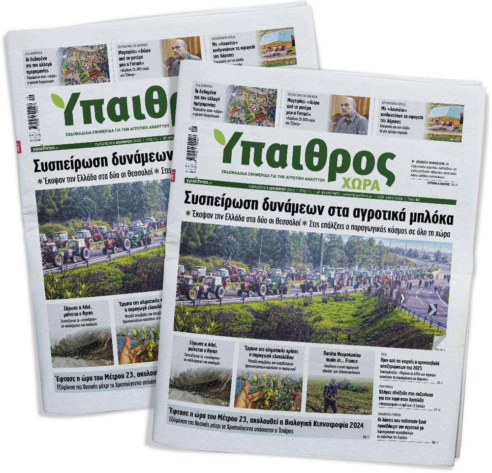 527-paraskevi-5-dekemvriou-2025-368697