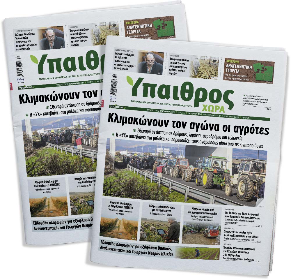 528-paraskevi-12-dekemvriou-2025-369288