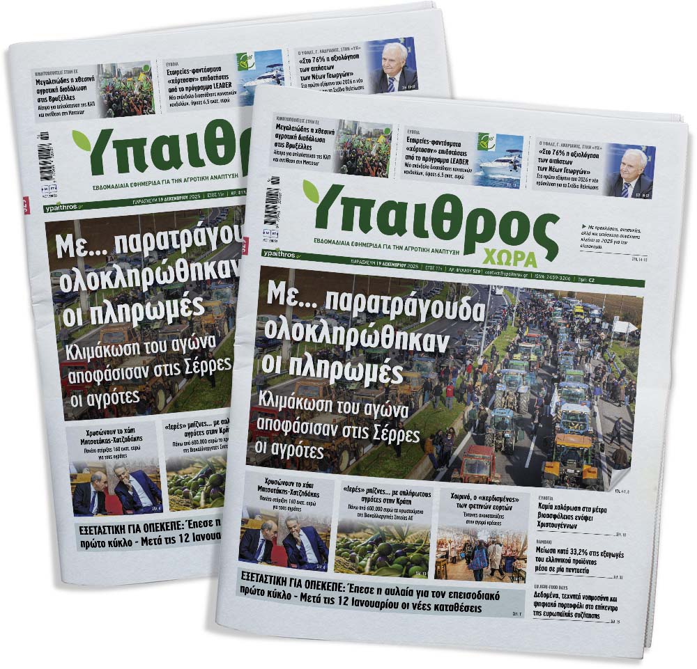 529-paraskevi-19-dekemvriou-2025-369778