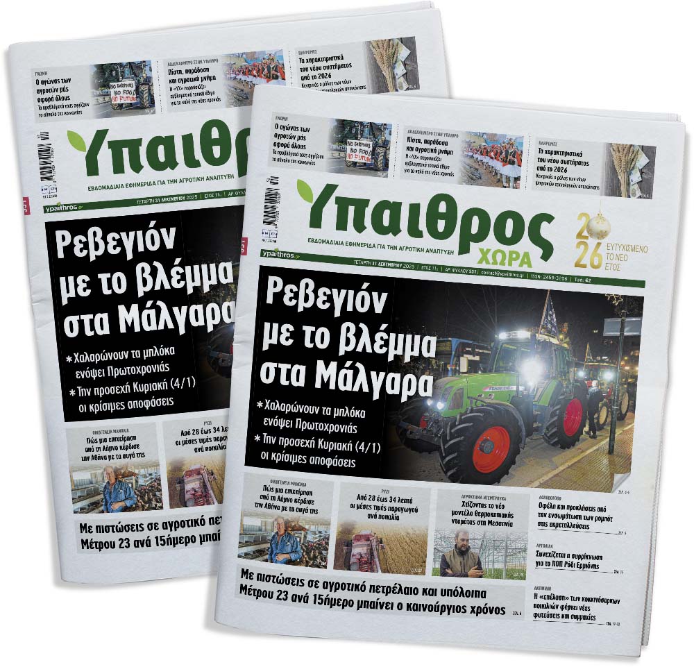 531-tetarti-31-dekemvriou-2025-370432