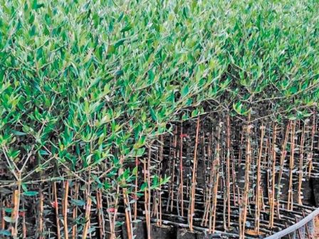 ypaithros-chora-efimerida-gia-tin-agrotiki-anaptyxi-kai-oikonomia-369868