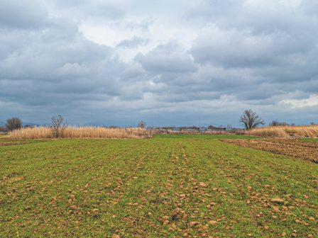 amth-psifiako-alaloum-me-tis-diorthoseis-opekepe-ypo-kathestos-sok-oi-paragogoi-369376