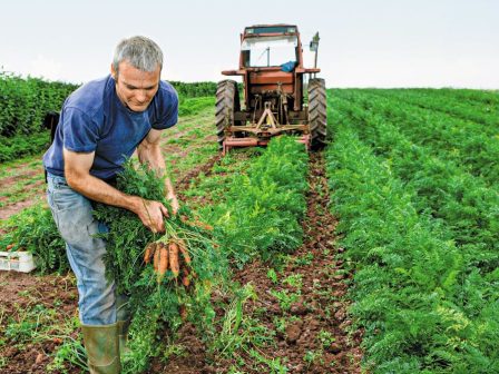 o-trab-apeilei-to-mexiko-me-epiprosthetous-teloneiakous-dasmous-5-exaitias-dienexis-gia-to-nero-368866