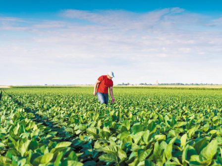 anasygkrotisi-tis-agrotikis-politikis-stin-ellada-apo-ti-diacheirisi-sti-stratigiki-askisis-368978