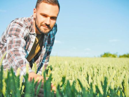 ypaithros-chora-efimerida-gia-tin-agrotiki-anaptyxi-kai-oikonomia-370203