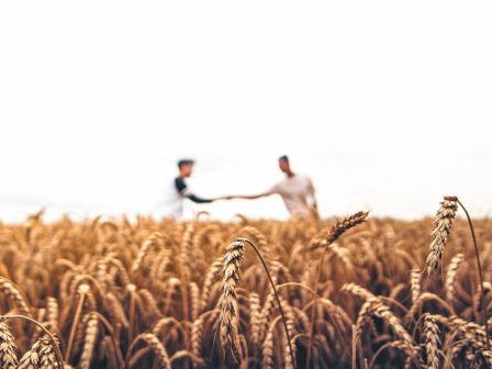 ypaithros-chora-efimerida-gia-tin-agrotiki-anaptyxi-kai-oikonomia-368759