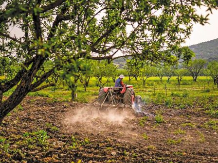 eftase-i-ora-tou-metrou-23-akolouthei-i-viologiki-ktinotrofia-2024-exoflisi-vasikis-prin-apo-tis-giortes-yposchetai-o-tsiaras-368766