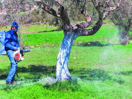 stirixi-apo-tin-politeia-zitoun-oi-ktinotrofoi-tis-voreias-ileias-370336