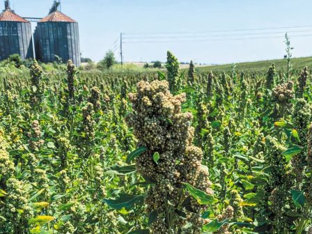 ypaithros-chora-efimerida-gia-tin-agrotiki-anaptyxi-kai-oikonomia-369949