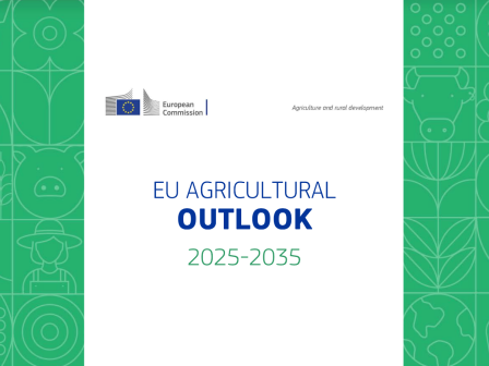 maziki-agrotiki-diadilosi-stis-vryxelles-kata-ton-allagon-stin-kap-stis-18-dekemvriou-369505