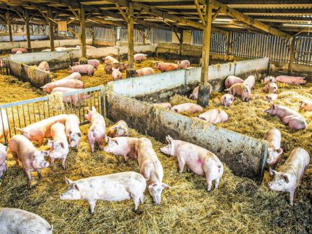 i-afximeni-evropaiki-paragogi-sto-choirino-efere-meiosi-timon-gia-ton-paragogo-368856